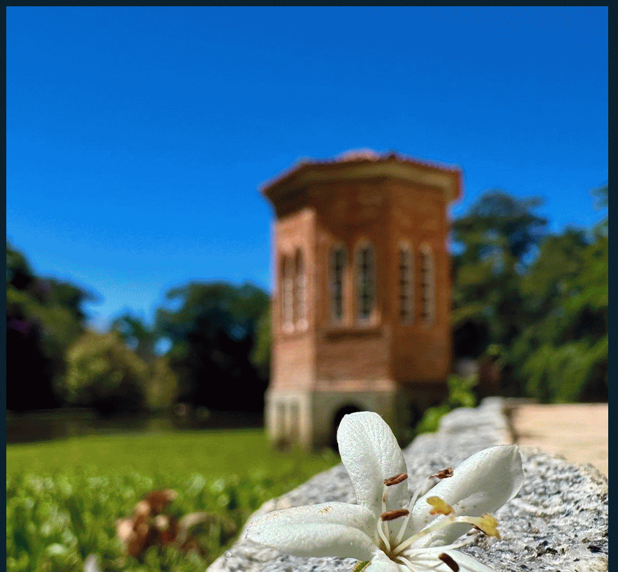 Country Notícias em formato web: demo da edição 601