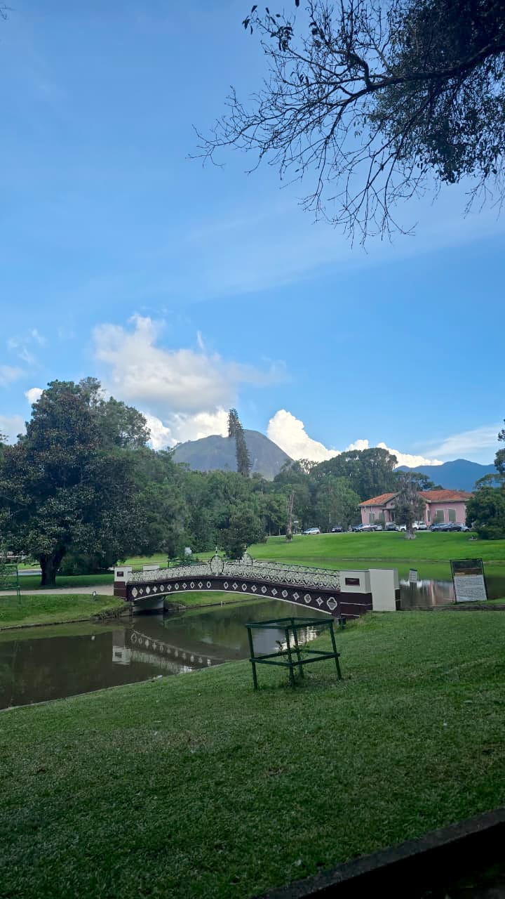 Olhar do Sócio