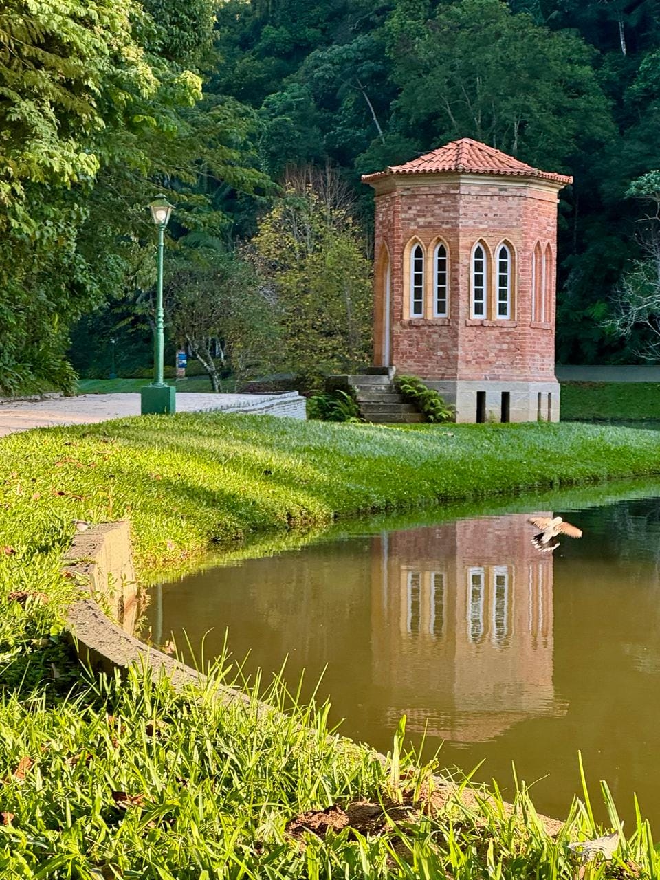 Reflexos da Beleza
