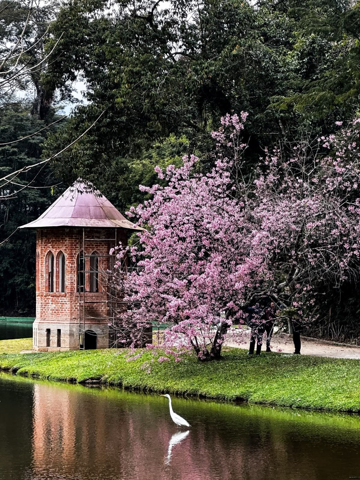 Sócia Lídice Maria conquista destaque em concurso de fotografia com imagem do Clube