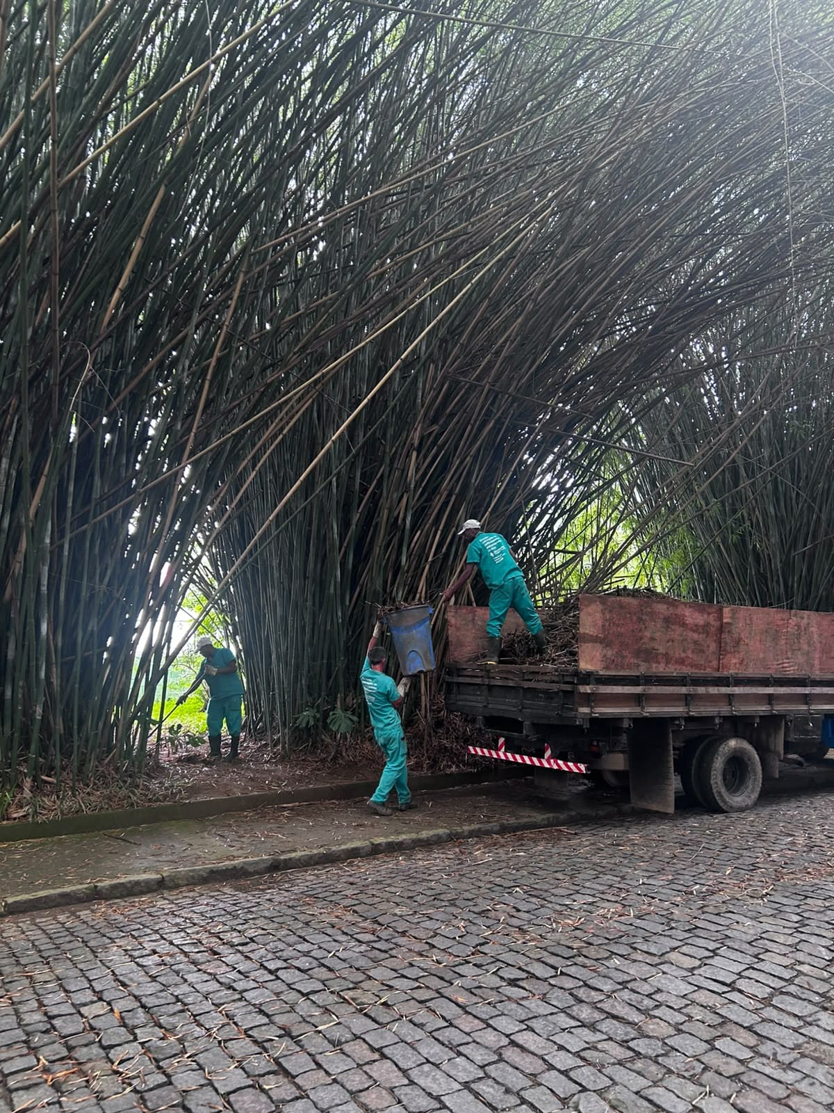 Manutenção dos jardins