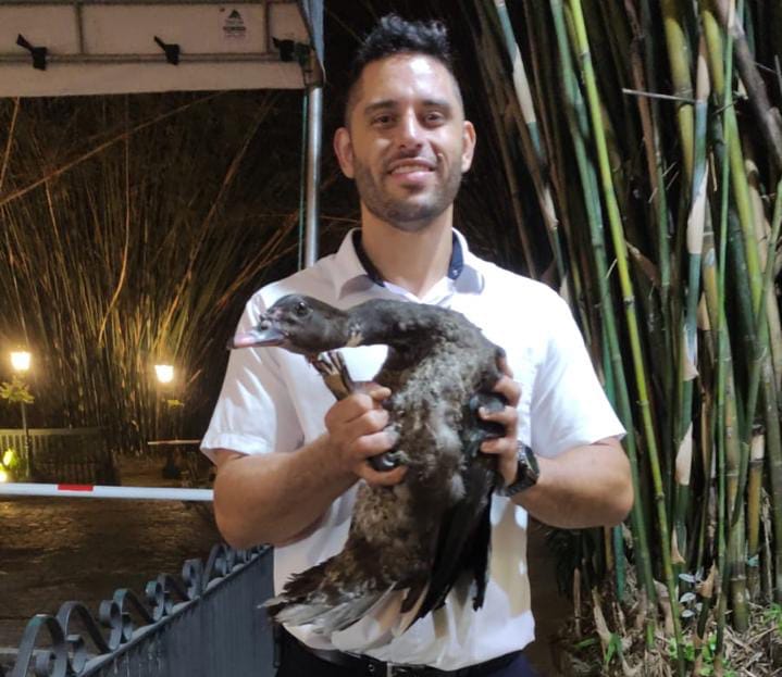 Missão Resgate: A aventura do nosso pato "turista"