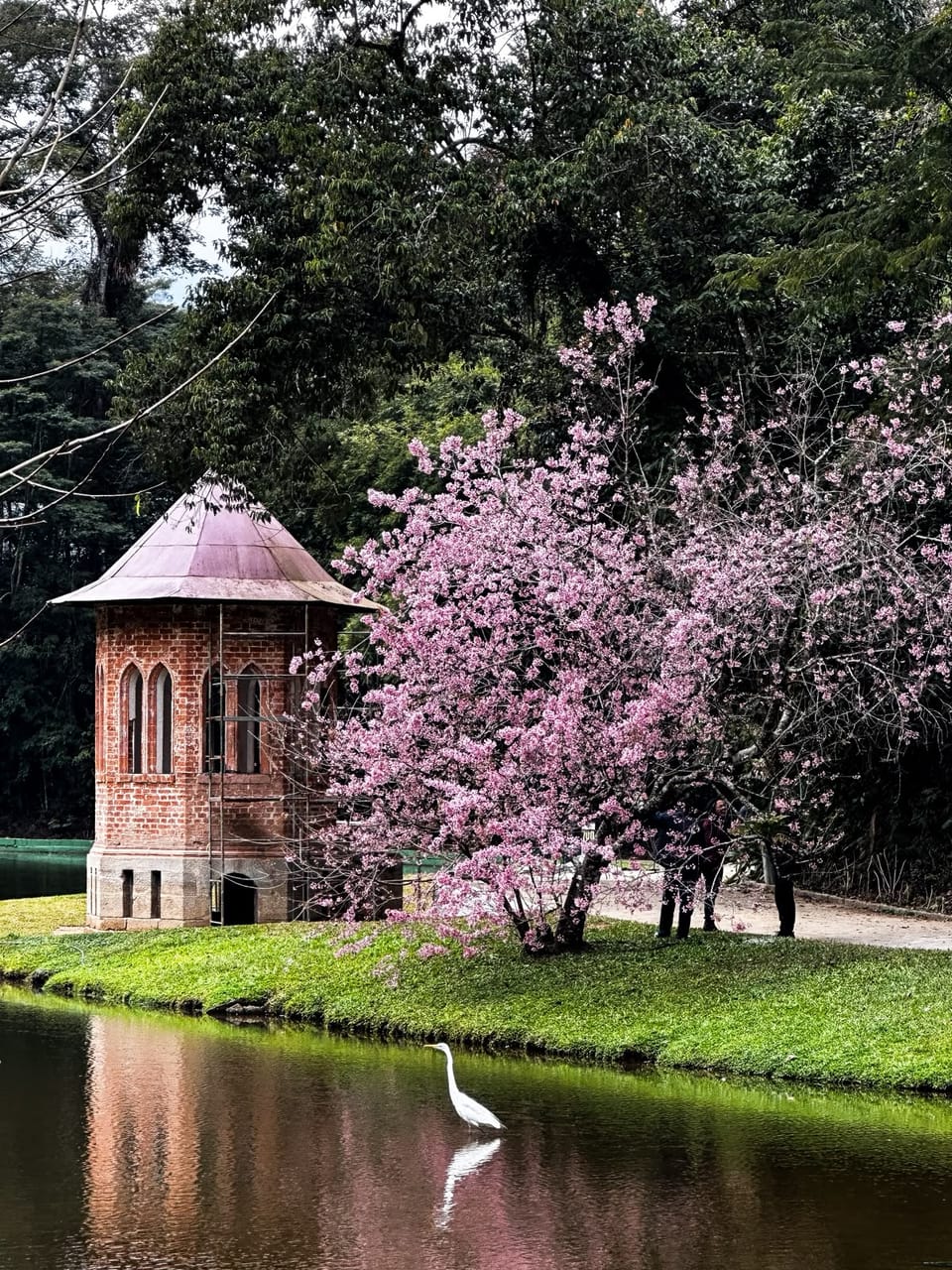 Sócia Lídice Maria conquista destaque em concurso de fotografia com imagem do Clube