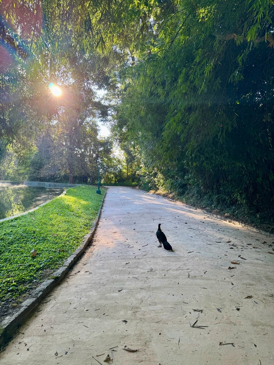 O inverno é mais bonito no clube