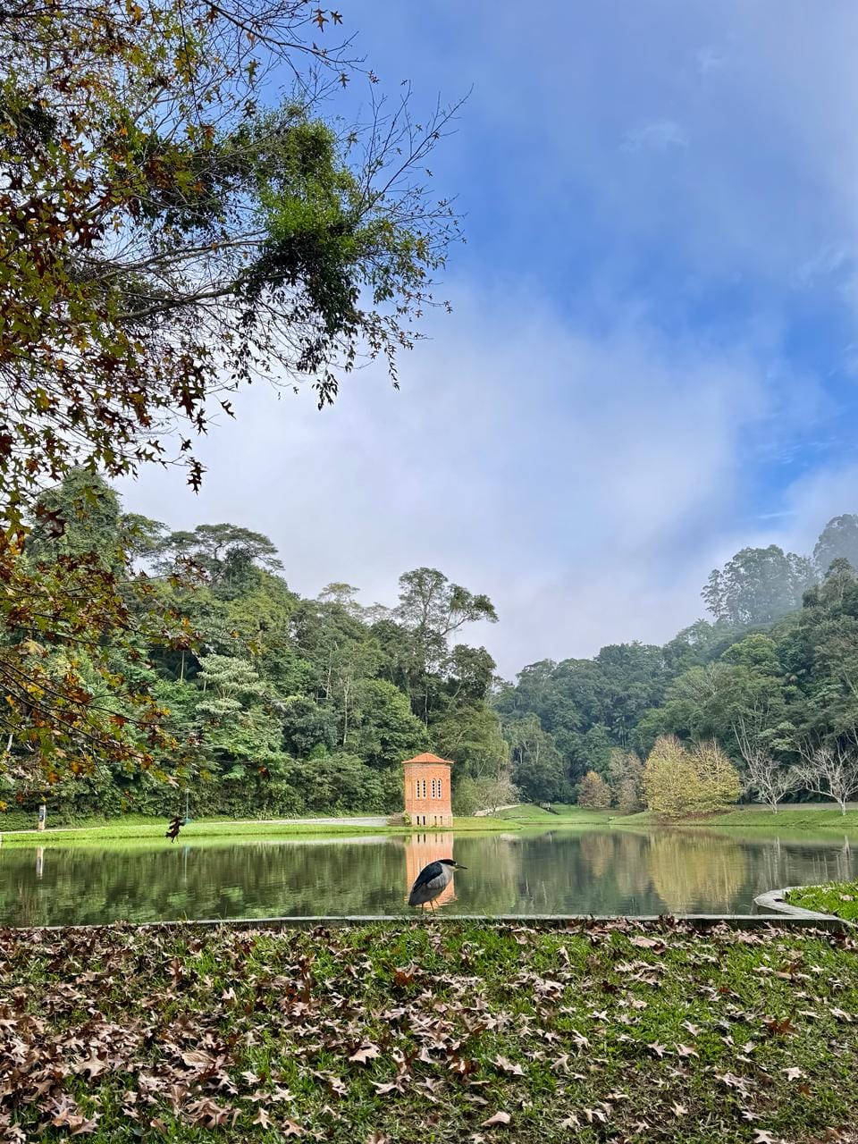 Cenário típico de inverno