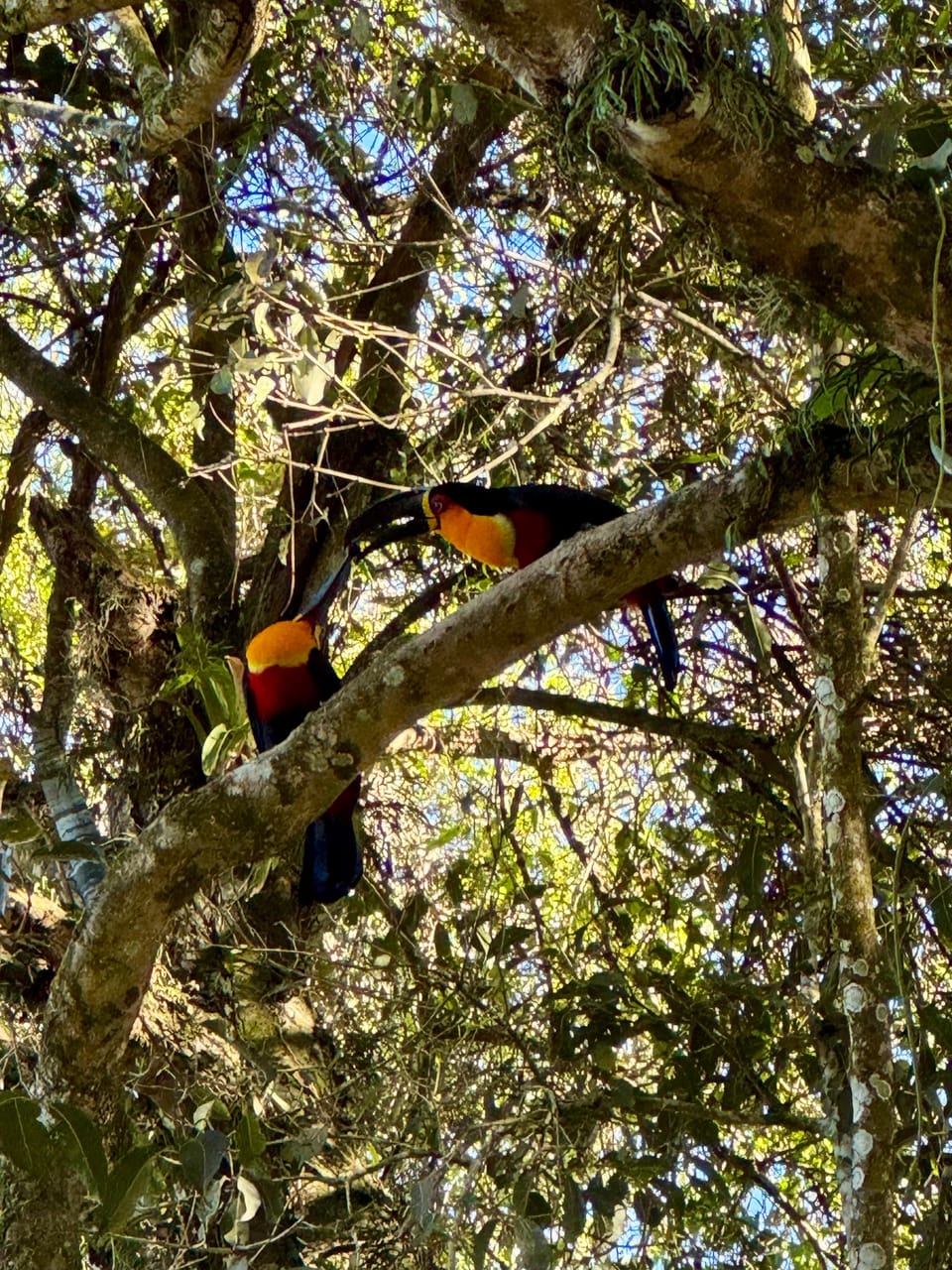 Quando a Natureza Conta uma História