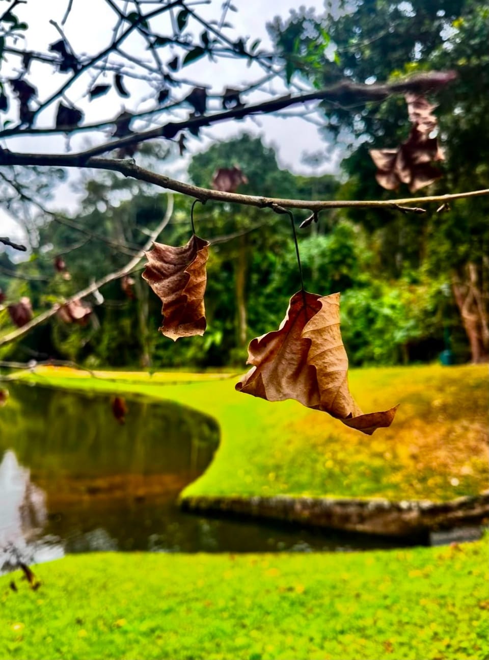Um olhar que transforma paisagens em memórias