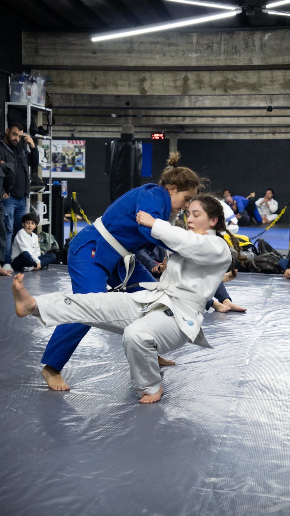 Jiu-jitsu e treinamento: opções para todos os estilos